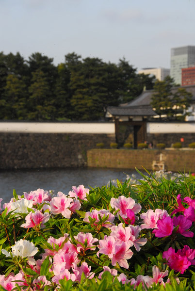 South Moat with flowers, Imperial Palace