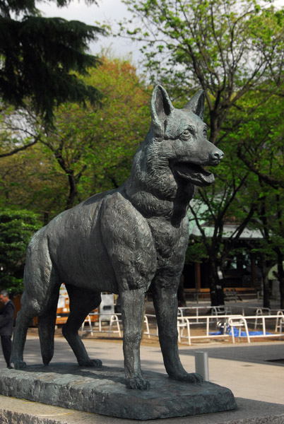 Statue of an army dog - to pacify the souls of dogs killed on the battlefield