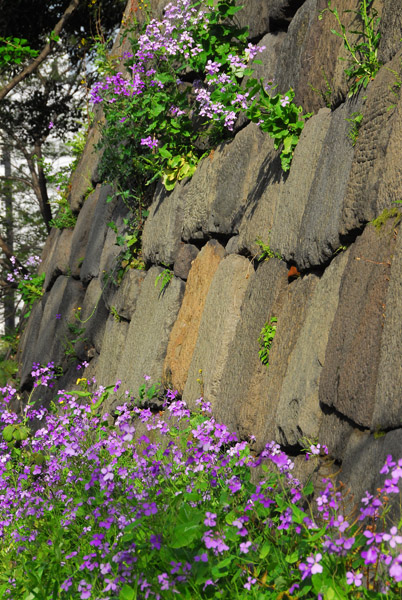 Old Imperial Palace Wall at Tayasumon Gate