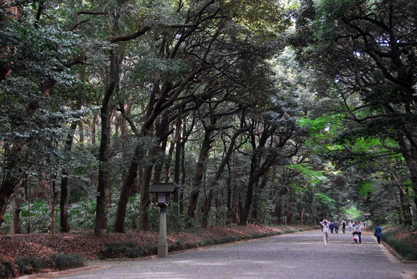 Main alley, Yoyogi-koen