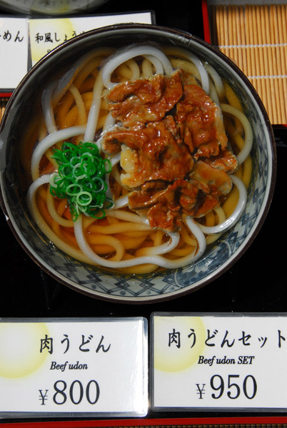 Beef Udon (plastic)