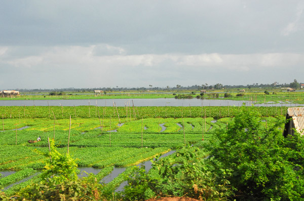 Rural Cambodian scene a short distance south of Phnom Penh