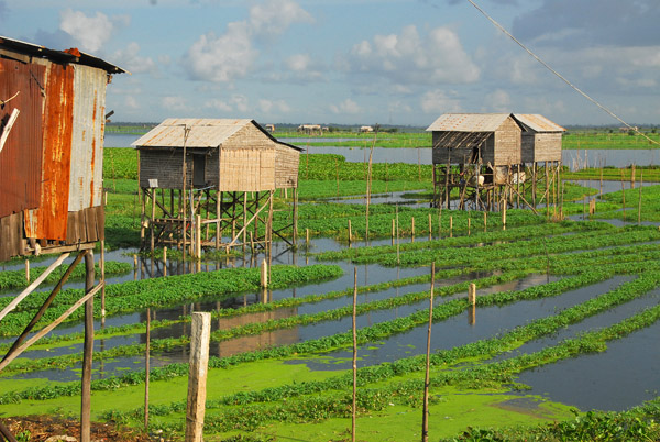 Cambodian stilt houses