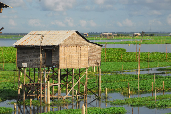 Cambodian stilt houses