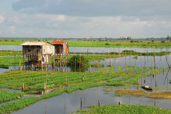 Cambodian stilt houses