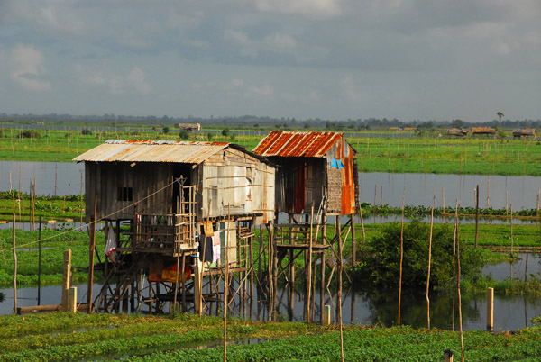 Cambodian stilt houses