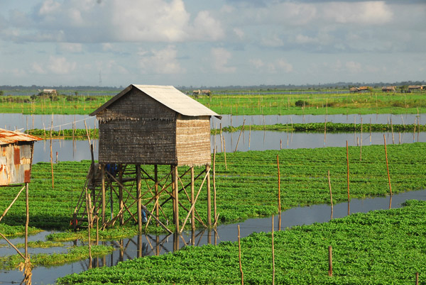 Cambodian stilt houses