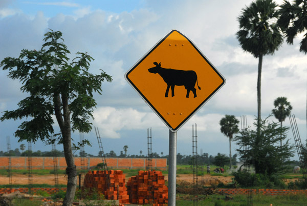 Cattle warning sign on the road to Choeung Ek