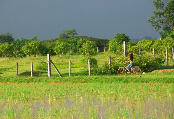 Girl on a bicycle in an idyllic landscape...100m from the Killing Fields
