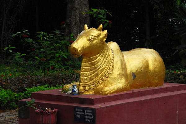 Sacred cow, Cambodian National Museum sculpture garden