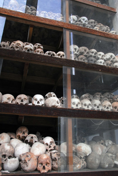 The shelves contain thousands of skulls