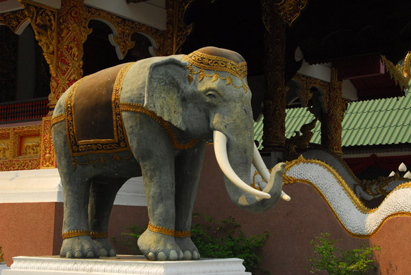 Elephant statue, Wat Hwa Kuang, Chiang Mai