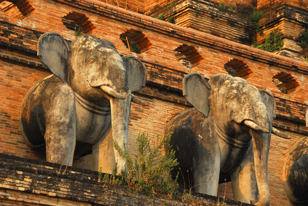 Restored elephant statues, Wat Chedi Luang, Chiang Mai