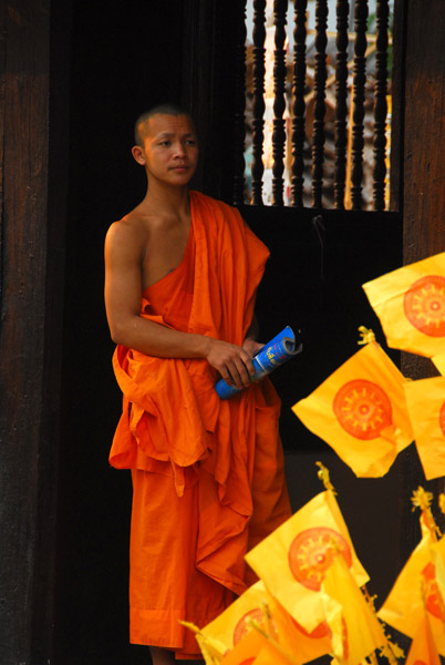 Monk, Wat Phantao, Chiang Mai