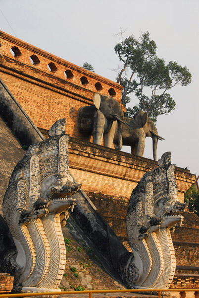 Naga staircase, Wat Chedi Luang