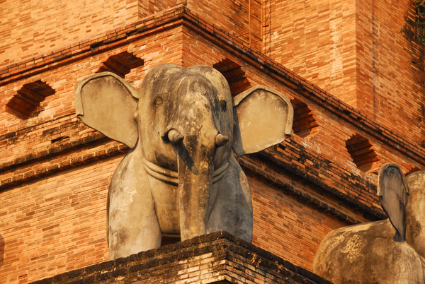 Restored elephant statue, Wat Chedi Luang, Chiang Mai
