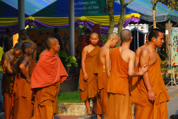 Monks, Wat Chedi Luang, Chiang Mai