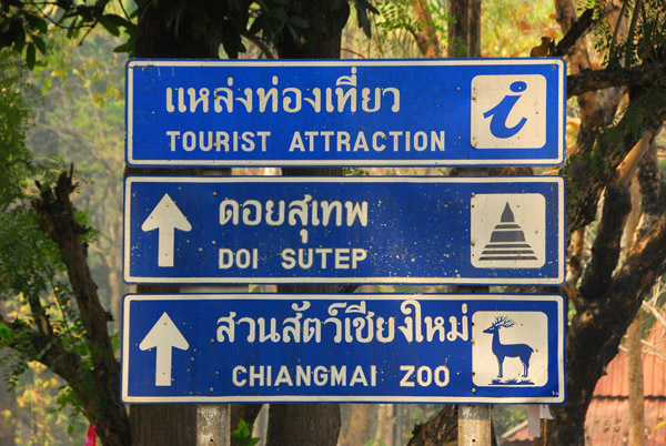 I rented a motorbike and headed to Doi Suthep, the small mountain just west of Chiang Mai
