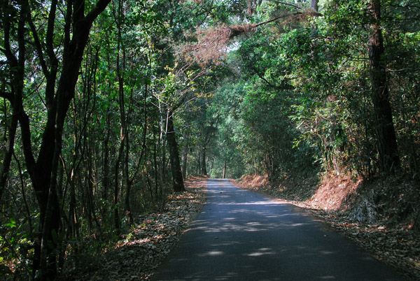 Hilltop road, Doi Suthep National Park