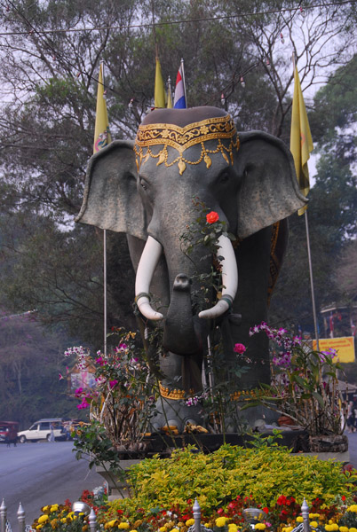Elephant, Doi Suthep