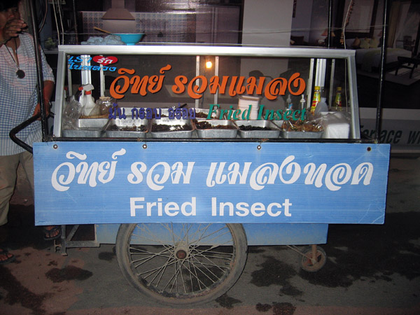 Thai fried insect, Chiang Mai Night Bazaar