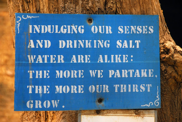 Indulging our senses and drinking salt water are alike: The more we partake, the more our thirst grow.