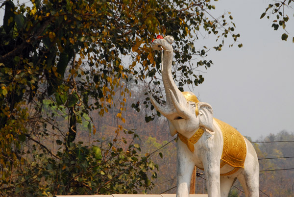 White elephant statue, Samoeng, Chiang Mai Province