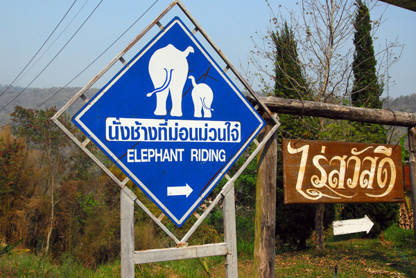 Elephant riding, Chiang Mai Province