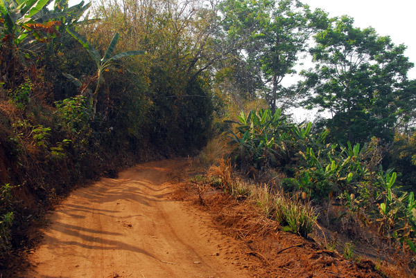 Dirt road to the Mhong Thai hilltribe village