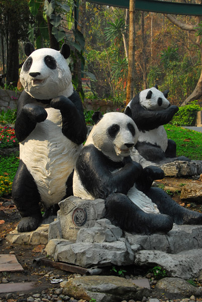 Panda sculpture, Chiang Mai Zoo