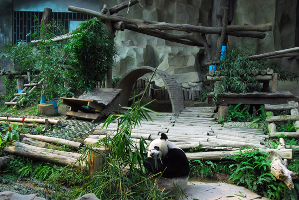Panda House, Chiang Mai Zoo