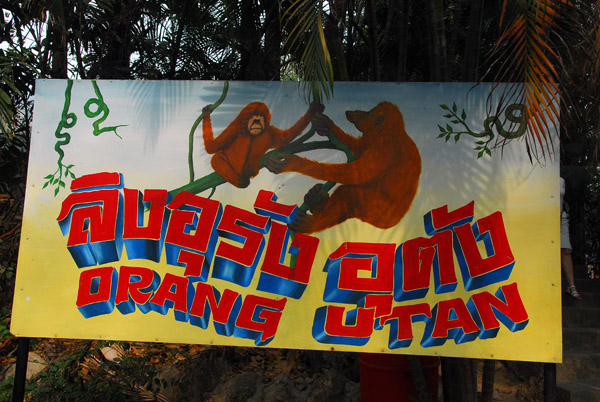 Orangutan enclosure, Chiang Mai Zoo