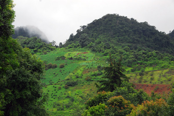 Lush green mountains during the Thai rainy season