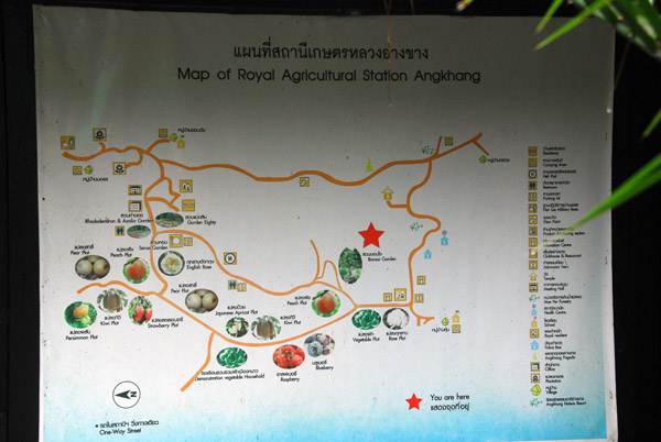 Map of Royal Agricultural Station, Angkhang