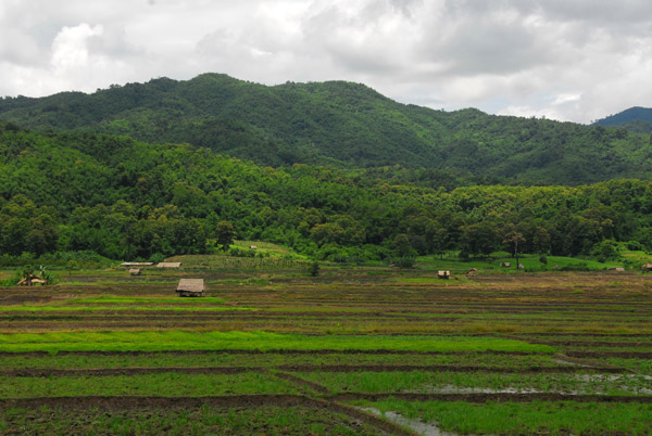 Agricultural lowlands, northern Chiang Mai Province