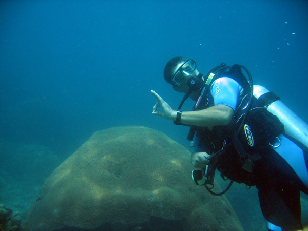 Adam Preston, dive guide from Koh Samui
