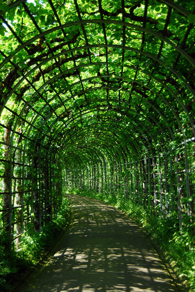 Garden, Schloßpark Linderhof