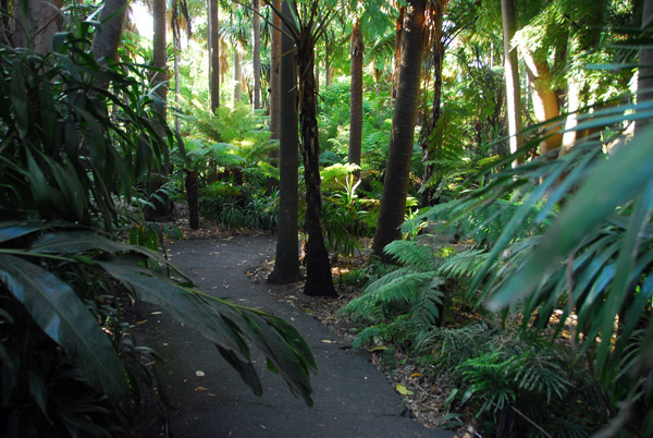 Pathway through Royal Botanic Gardens, Melbourne