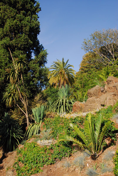Royal Botanic Gardens, Melbourne
