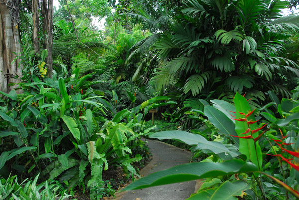 Lush vegetation, Singapore Zoo
