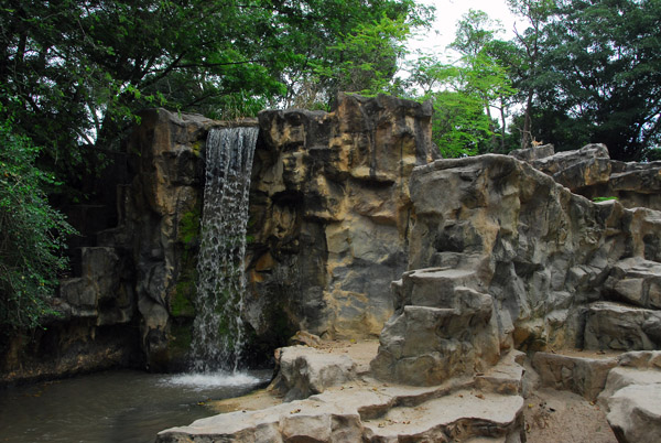 Hamadryas Baboon exhibit area reproducing Ethiopa, Singapore Zoo