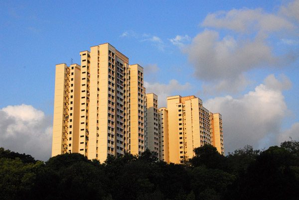 Singapore suburbs, near the zoo