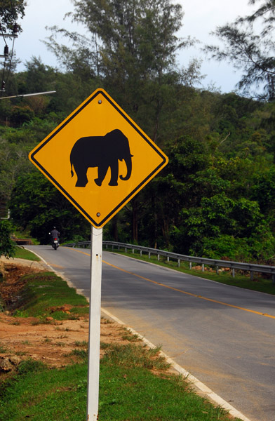 Elephant warning sign, south of Kata Beach, Phuket