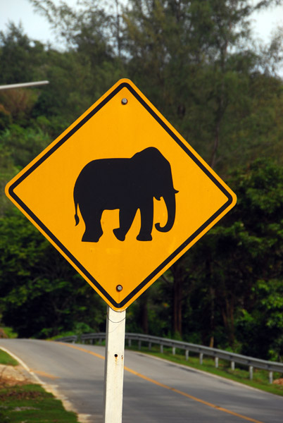 Elephant warning sign, Phuket, Thailand