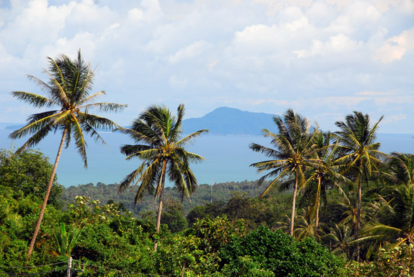 South through the palms from the Kata viewpoint