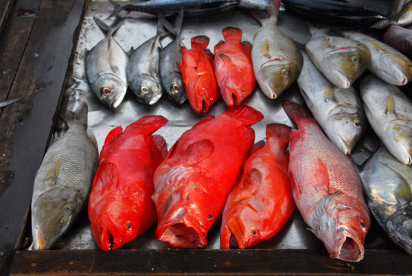 Fish market, chao naam village, Rawai Beach