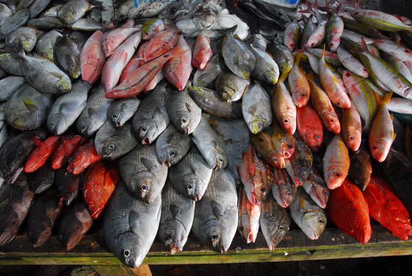 Fish market, chao naam village, Rawai Beach