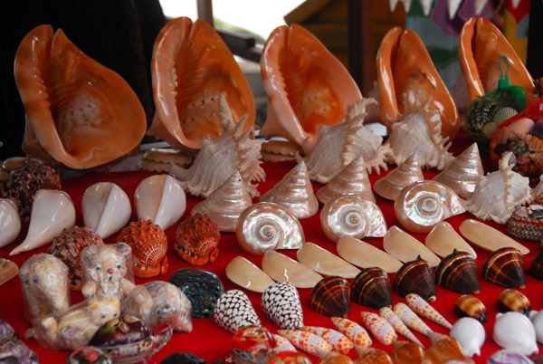 Shells, Rawai Beach fish market, Phuket