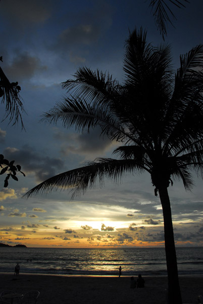 Sunset with palm tree, Patong