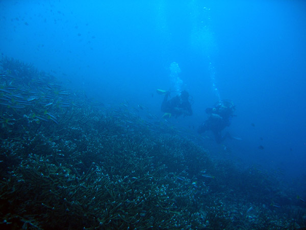 Scuba divers, Racha Island, Andaman Sea (near Phuket, Thailand)